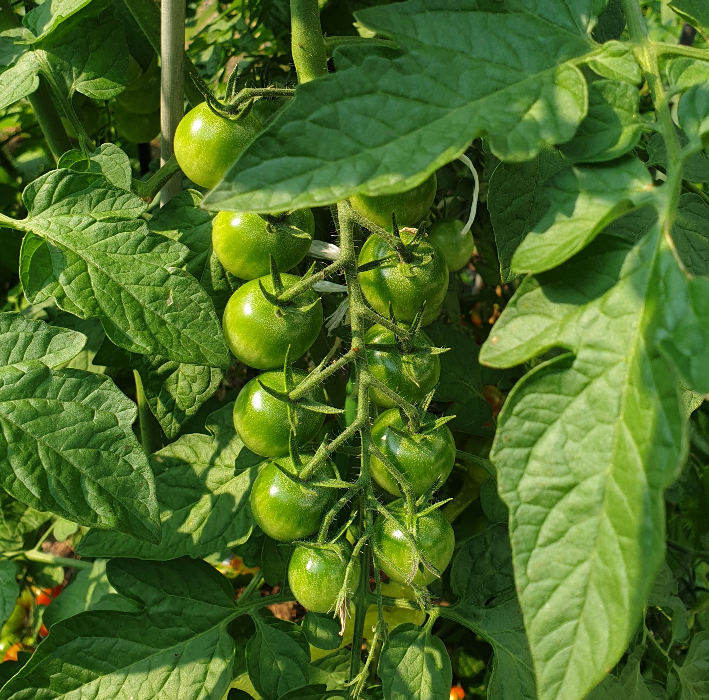 �н��� ��������